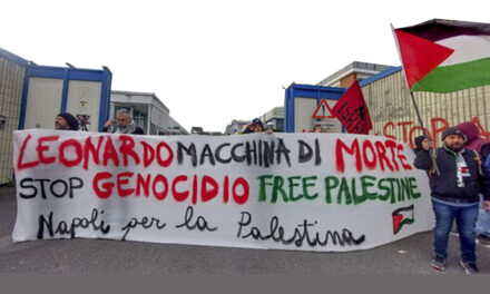 IL MOVIMENTO A SOSTEGNO DEI PALESTINESI: RIFLESSIONI